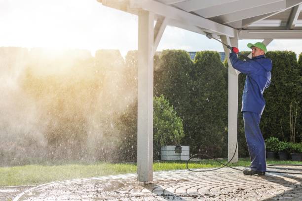 Best Spring Cleaning  in The Galena Territory, IL